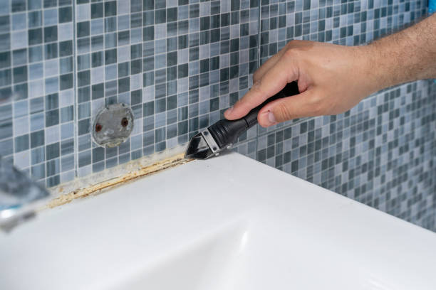 Best Fast Mold Removal  in Conrad, MT